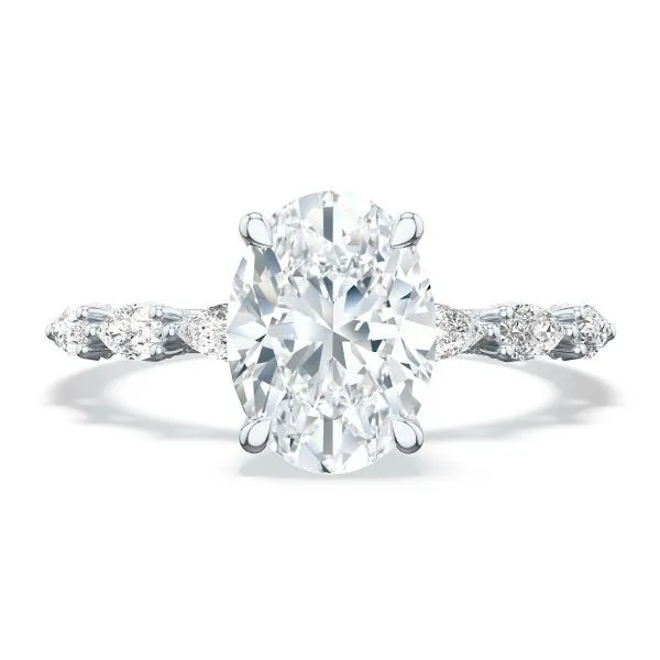 Tacori Platinum Diamond Halo Engagement Ring D. Geller & Son Jewelers Kennesaw, GA