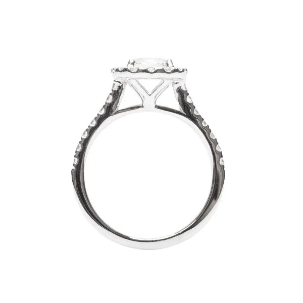 D. Geller Collection 14K Diamond Halo Engagement Ring Image 2 D. Geller & Son Jewelers Atlanta, GA
