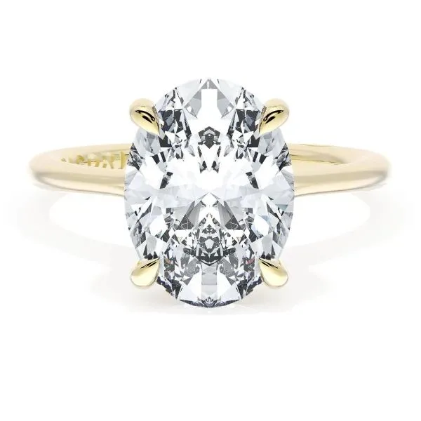 Tacori 18K Solitaire Engagement Ring D. Geller & Son Jewelers Kennesaw, GA