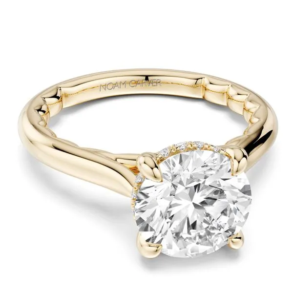 Noam Carver 14K Diamond Halo Engagement Ring D. Geller & Son Jewelers Kennesaw, GA