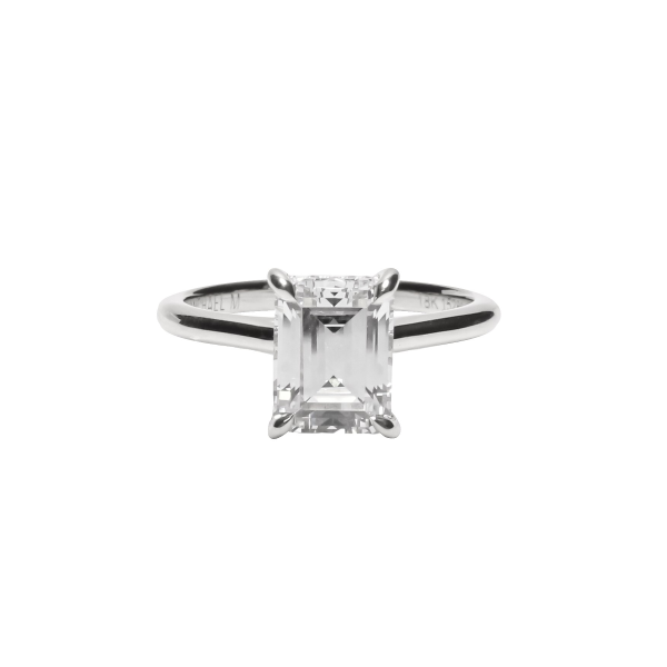 Michael M Platinum Diamond Hidden Halo Engagement Ring D. Geller & Son Jewelers Kennesaw, GA