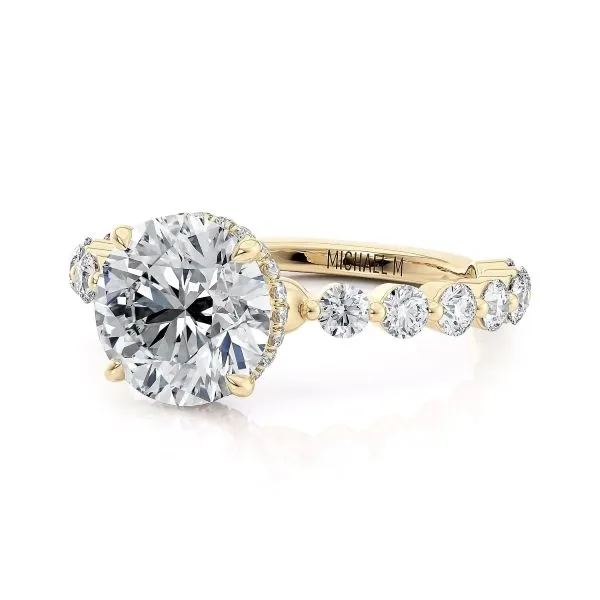 Michael M 18K Diamond Halo Engagement Ring Image 2 D. Geller & Son Jewelers Atlanta, GA