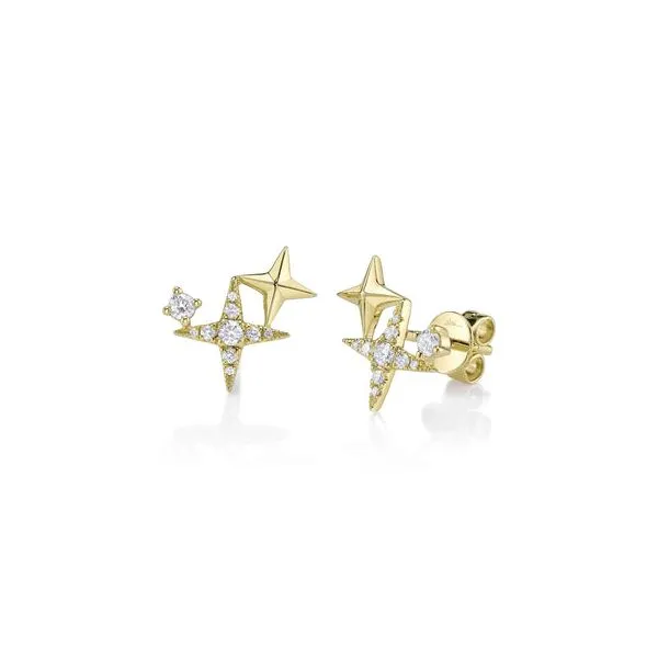 Shy Creation 14K Diamond Star Earrings D. Geller & Son Jewelers Kennesaw, GA