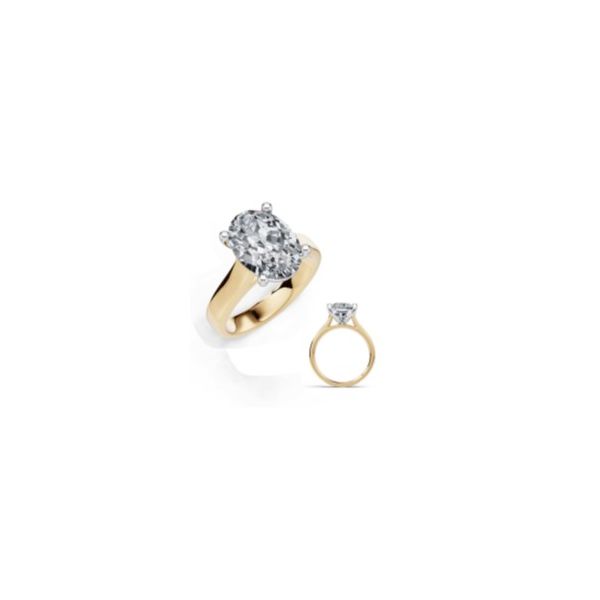 Diamond Semi-Mount Ring Diamond Jewelers Gulf Shores, AL