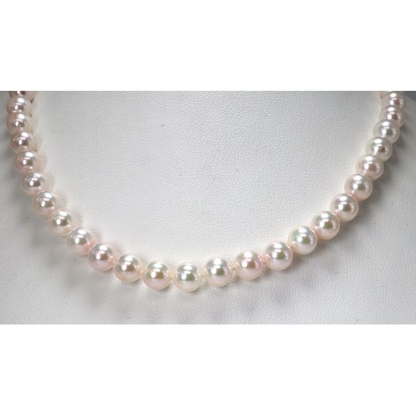 Strand Diamond Showcase Longview, WA