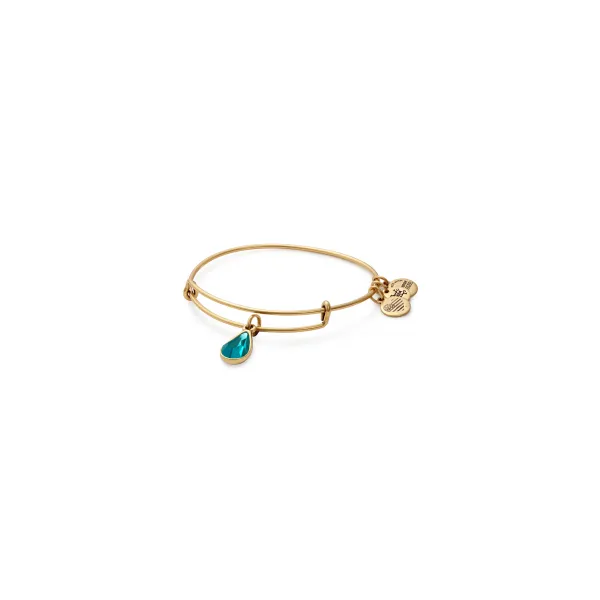 Alex and ani december bangle of the month sale