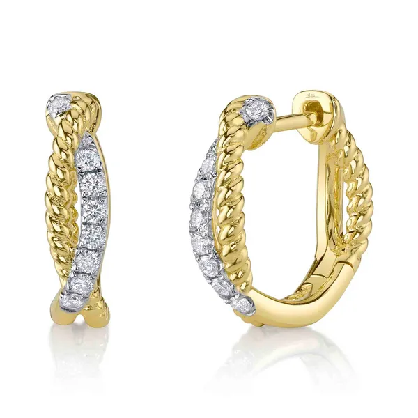 14Kt Two-Tone Rope and Diamond Hoop Earrings Dickinson Jewelers Dunkirk, MD