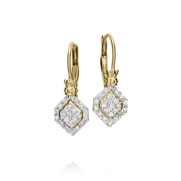 14Kt Yellow Gold Elongated Diamond Hexagon Leverback Earrings Dickinson Jewelers Dunkirk, MD