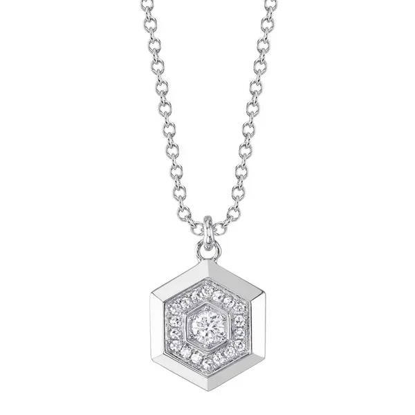 14Kt White Gold Diamond Hexagon Pendant on Chain Dickinson Jewelers Dunkirk, MD