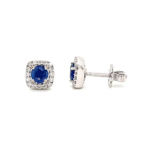 14k White Gold Ceylon Sapphire Halo Post Earrings Dickinson Jewelers Dunkirk, MD