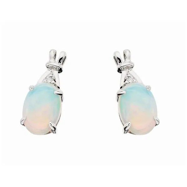 10kWhite Gold Diamond Earrings Dickinson Jewelers Dunkirk, MD