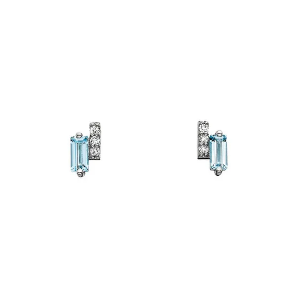 Earrings Dickinson Jewelers Dunkirk, MD