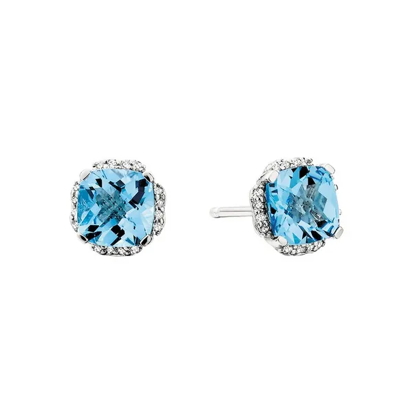 Sterling Silver Blue Topaz Post Earrings Dickinson Jewelers Dunkirk, MD