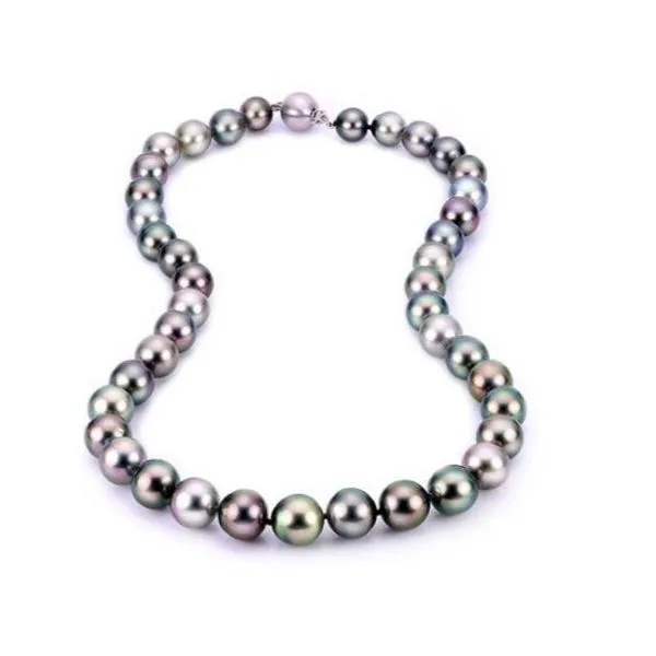 14k White Gold Tahitian Pearl Strand Necklace Dickinson Jewelers Dunkirk, MD