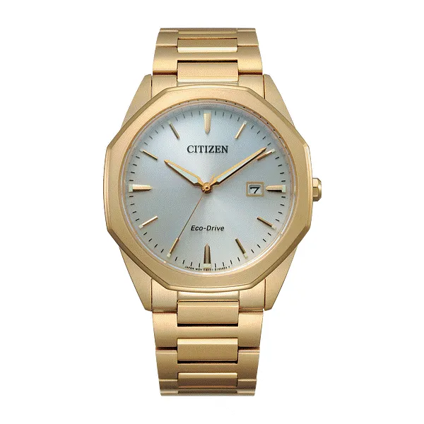 Citizen Citizen Eco Drive Silver Face Yellow Tone Band Watch Dickinson Jewelers Dunkirk MD