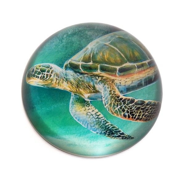 Sea Turtle Paperweight Dickinson Jewelers Dunkirk, MD