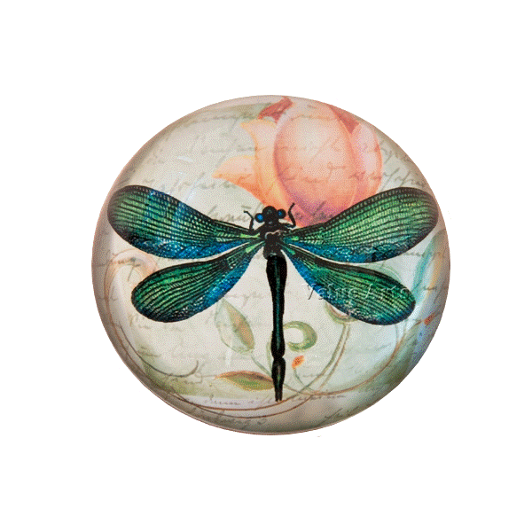 Green Dragonfly Paperweight Dickinson Jewelers Dunkirk, MD