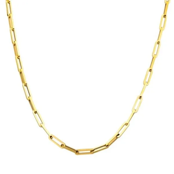 18k Gold Plated Stainless Steel Paperclip Necklace Dickinson Jewelers Dunkirk, MD