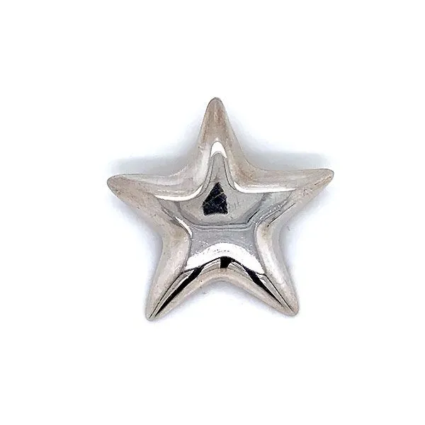 Tiffany & Co. Sterling Silver Seastar Brooch Dickinson Jewelers Dunkirk, MD