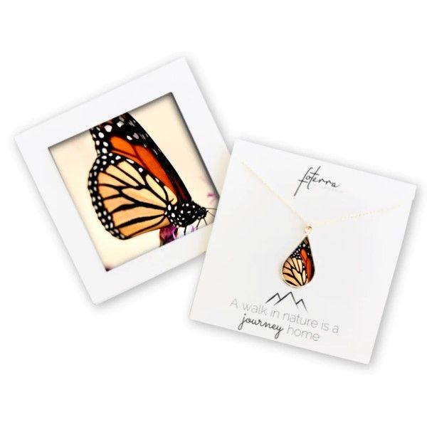 Monarch Butterfly Teardrop Necklace Dickinson Jewelers Dunkirk, MD