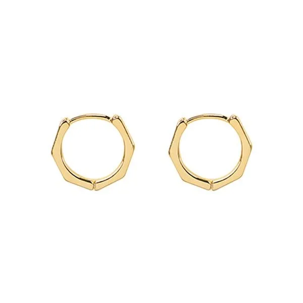 14k Gold Dipped Hexagon Huggie Hoop Earrings Dickinson Jewelers Dunkirk, MD
