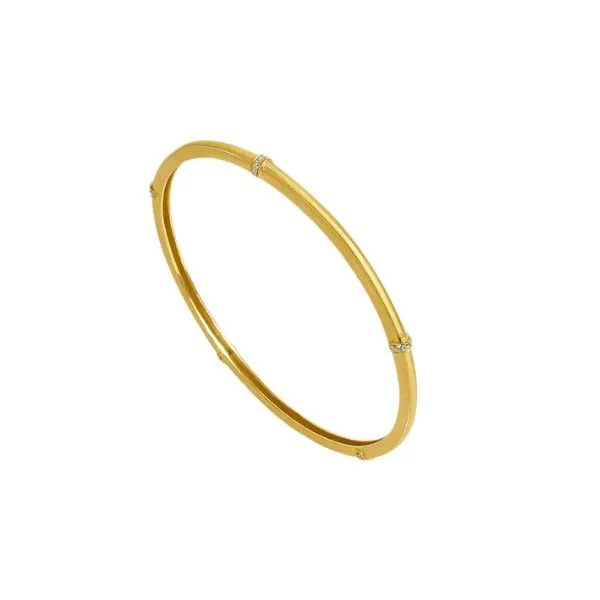 22k Yellow Gold Plated Colette Pave CZ Bangle Bracelet Dickinson Jewelers Dunkirk, MD
