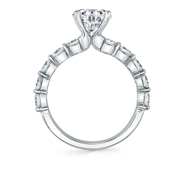Engagement Mounting
