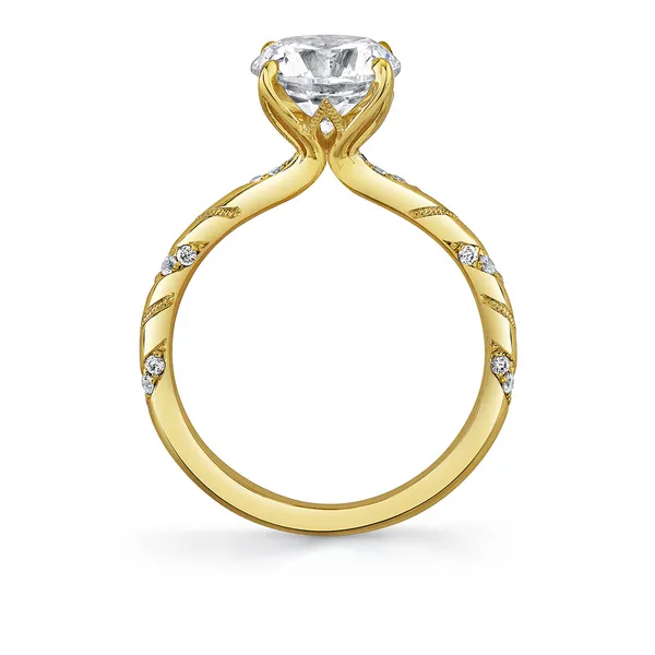 Engagement Mounting