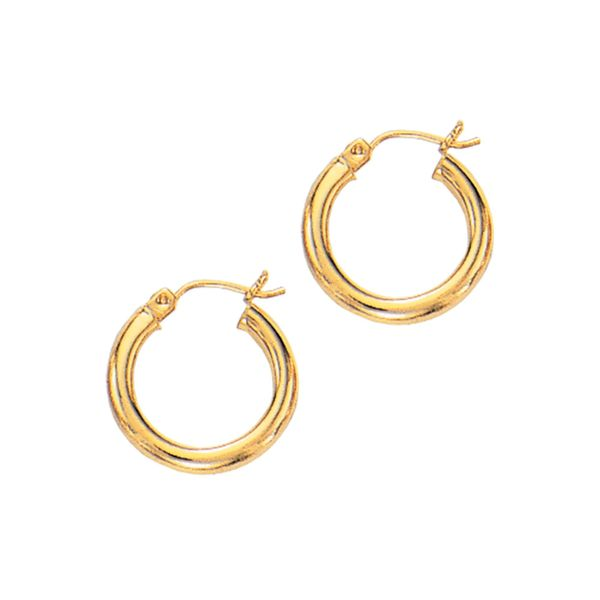 Gold Earrings Diedrich Jewelers Ripon, WI