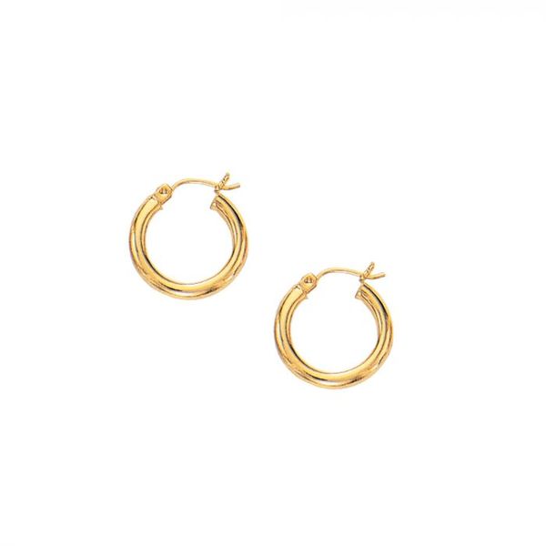 10kt Gold Earrings Diedrich Jewelers Ripon, WI