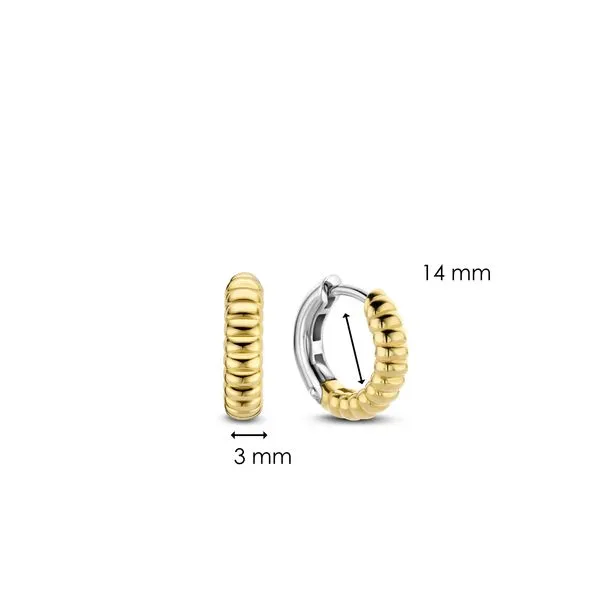 Sterling Silver Earrings Image 2 Diedrich Jewelers Ripon, WI