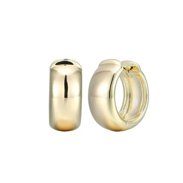 Sterling Silver Earrings