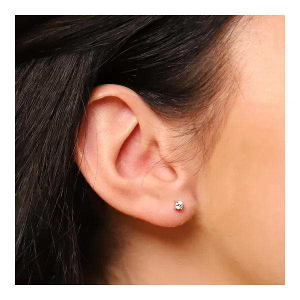 Sterling Silver Earrings