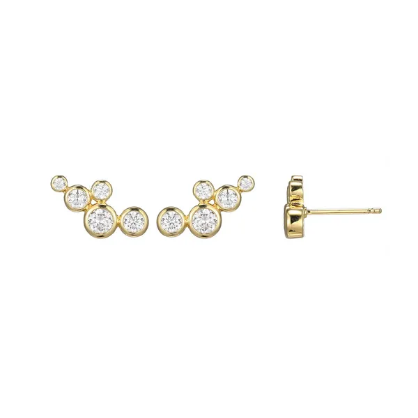Sterling Silver Earrings