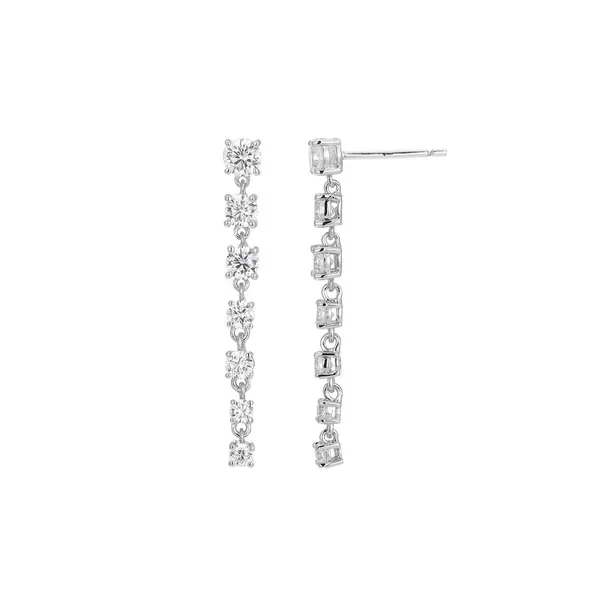 Sterling Silver Earrings