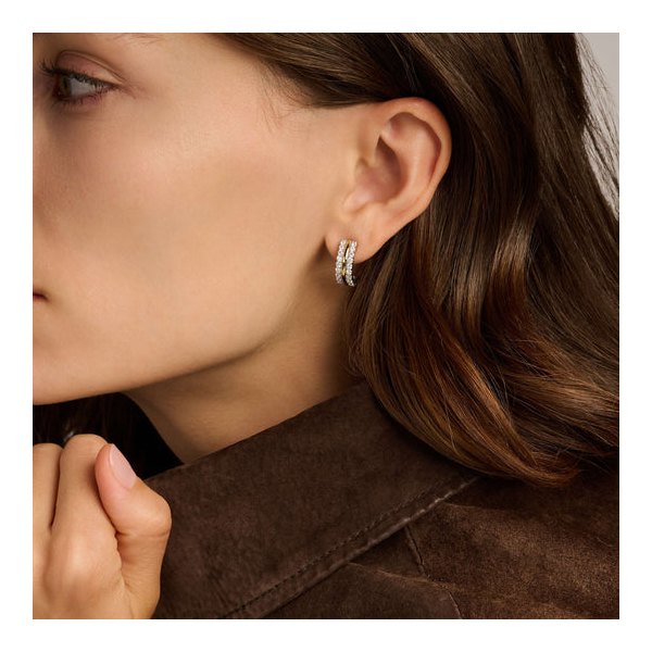 Sterling Silver Earrings Image 2 Diedrich Jewelers Ripon, WI