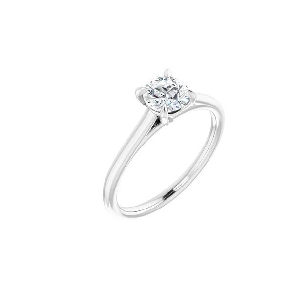 14KW Dia Sol RG RBC .63ct SI2 H Diny's Jewelers Middleton, WI