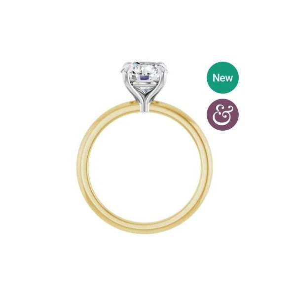 14TT Sol Ring RBC 1.53ct SI1 J XXX GIA 7.36mm Image 2 Diny's Jewelers Middleton, WI