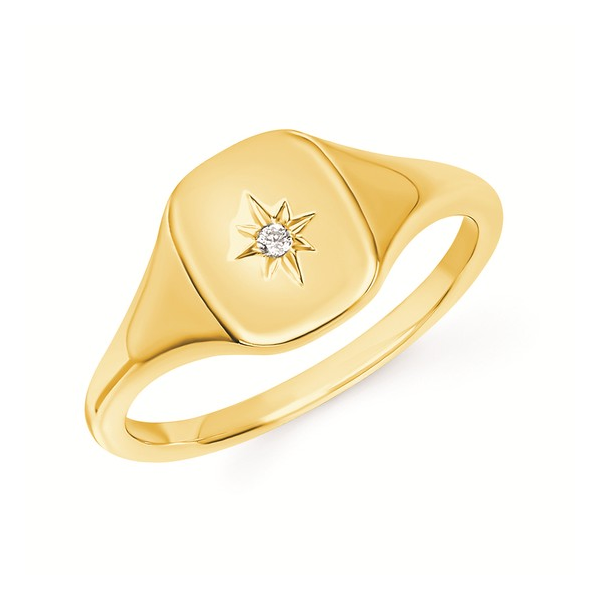 14K Yellow Gold Diamond Signet Ring Diny's Jewelers Middleton, WI