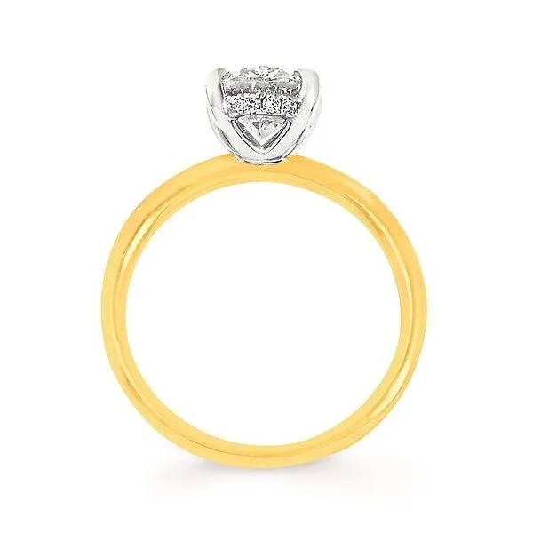 14Kt Tri-Tone Gold Diamond Halo Ring Image 2 Diny's Jewelers Middleton, WI