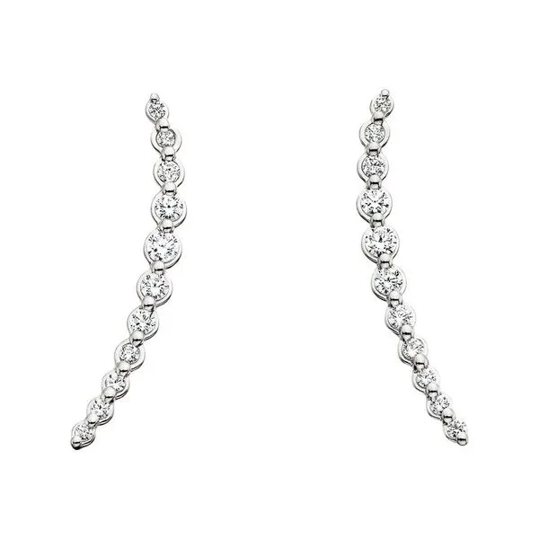 14K White Gold Diamond Cascade Earrings Diny's Jewelers Middleton, WI
