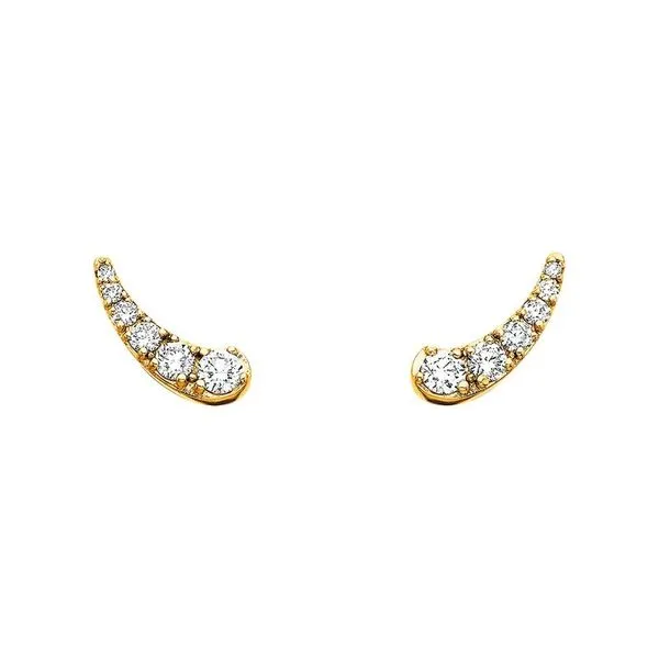 14K Yellow Gold Gradient Diamond Earrings Diny's Jewelers Middleton, WI