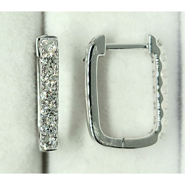Platinum Diamond Hinge Hoop Earrings Diny's Jewelers Middleton, WI