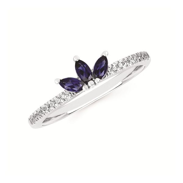 14K White Gold Sapphire Fashion Ring Diny's Jewelers Middleton, WI