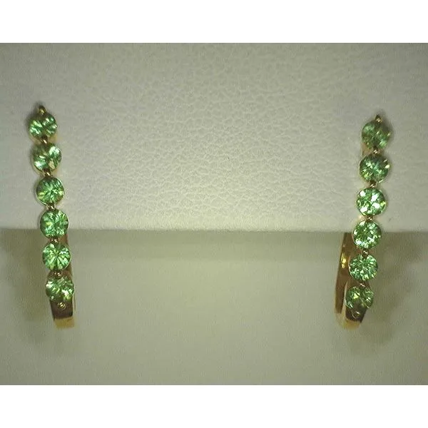 14K Yellow Gold Tsavorite Garnet Hoop Earrings Diny's Jewelers Middleton, WI