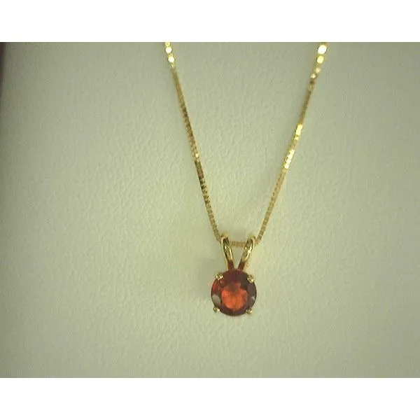 14K Yellow Gold Garnet Round Pendant Diny's Jewelers Middleton, WI
