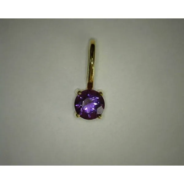 14K Yellow Gold Amethyst Round Pendant Diny's Jewelers Middleton, WI