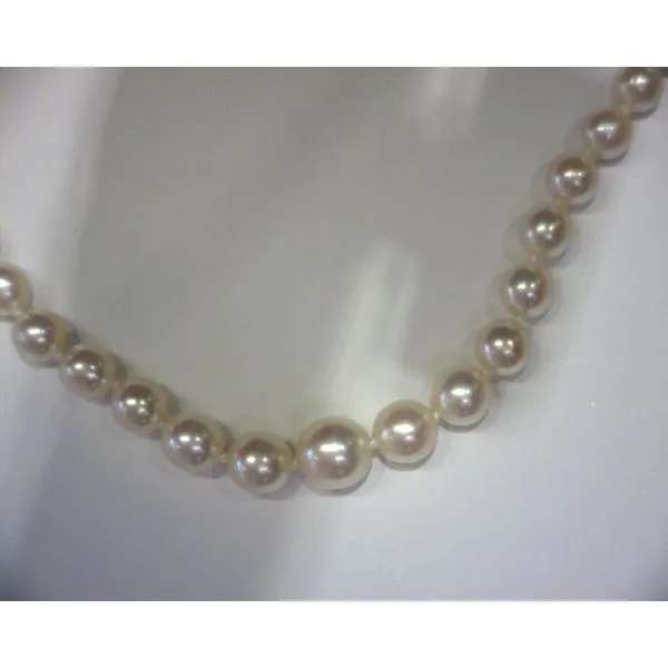 14K Yellow Gold Graduated Cream Pearl Strand Necklace Diny's Jewelers Middleton, WI
