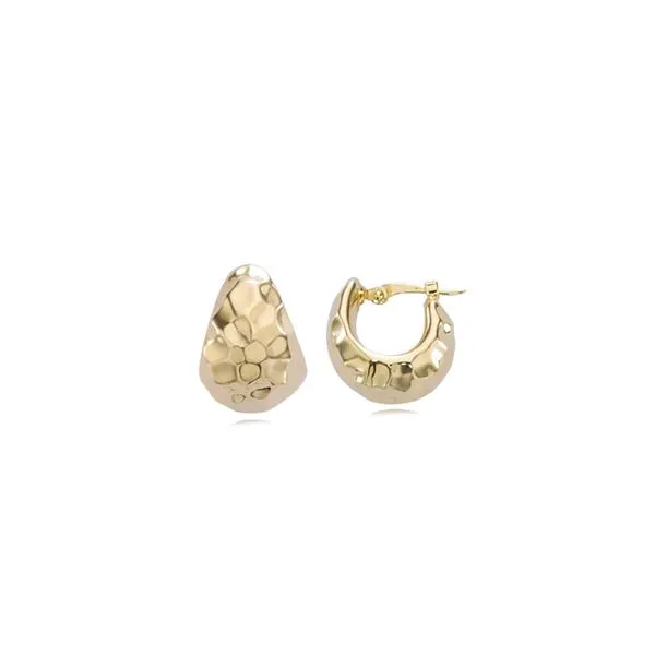 Gold Earrings Dolabany Jewelers Westwood, MA