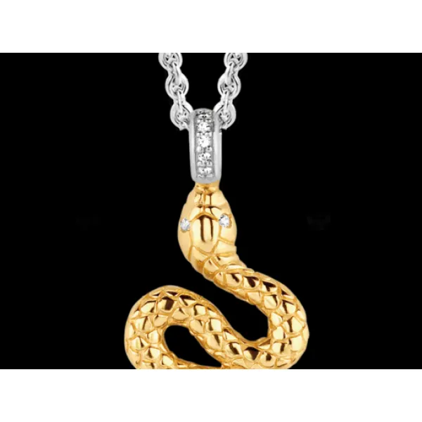 Silver Chain Dolabany Jewelers Westwood, MA